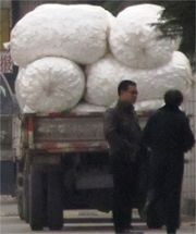 图115运输原材料的无牌黑卡车,车牌被摘掉了。大白天敢明目张胆的违法摘掉车牌,很明显,这是与昌乐劳教所长期合作的黑厂家的车,深知奴工生产的违法性和丑陋,掩盖起来很熟练。