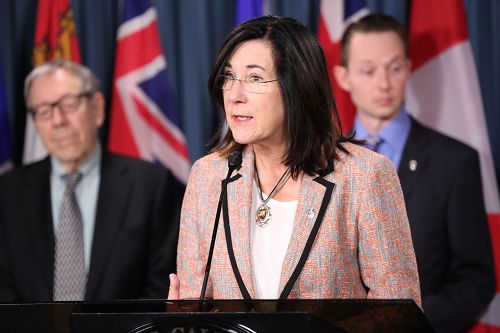 图3：新民主党国会议员、国会国际人权委员会副主席Cheryl Hardcastle