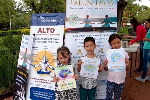 '图42~44:小朋友们在学画莲花'