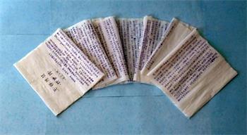 '辩护词（无罪陈述）原件实物照片'