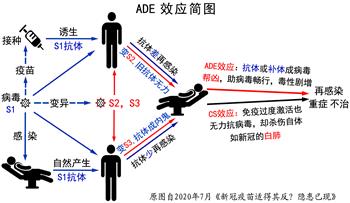 图6:ADE效应简要图示